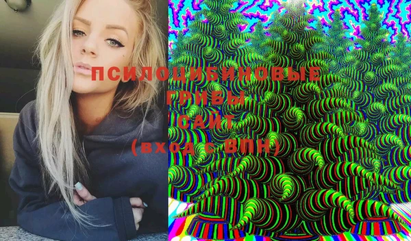 экстази Гусиноозёрск