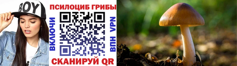 наркотики  Певек  Псилоцибиновые грибы прущие грибы 